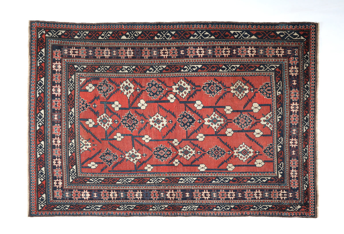 Antique Shirvan Carpet